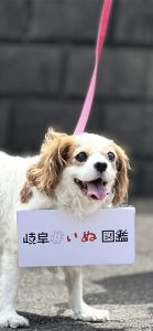 NEWS画像