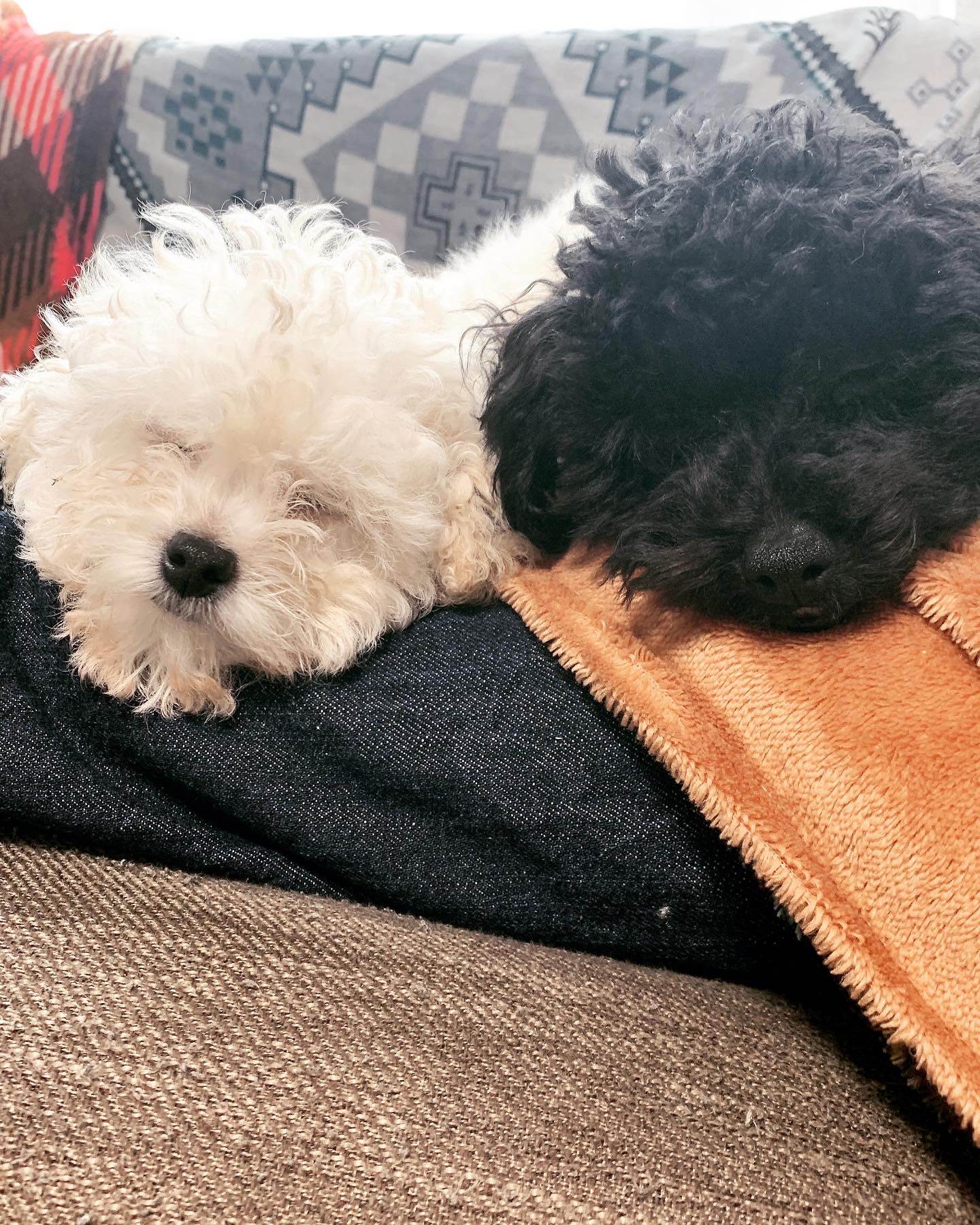 quu＆coco