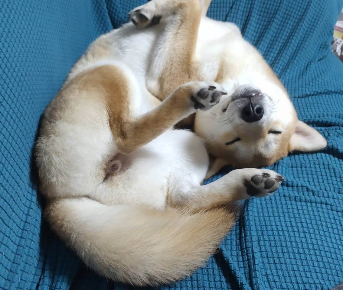 あられ