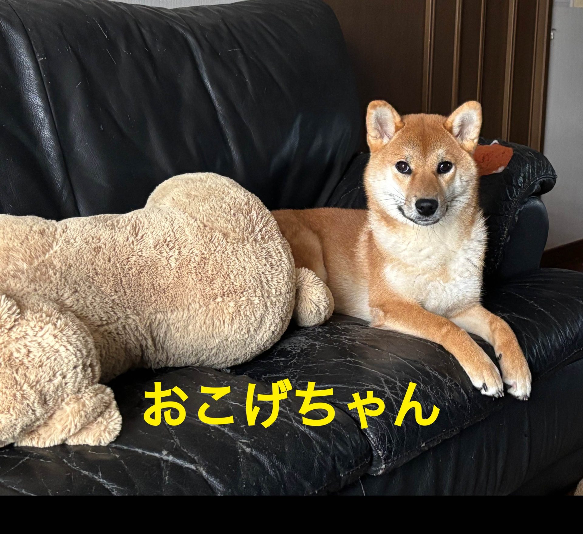 おこげ