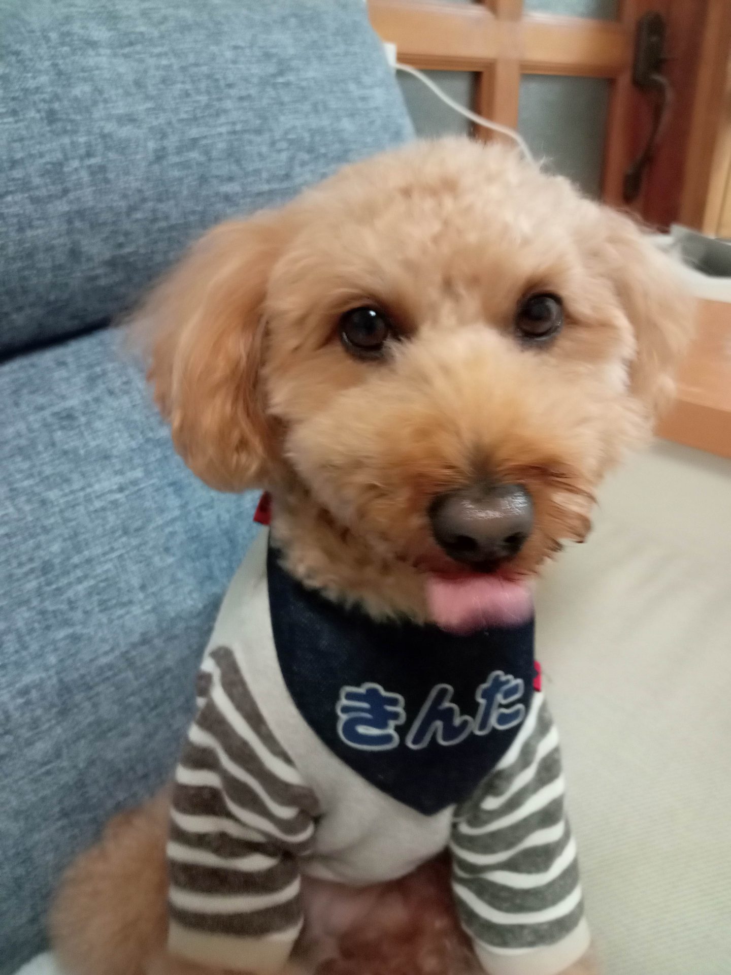 きんた