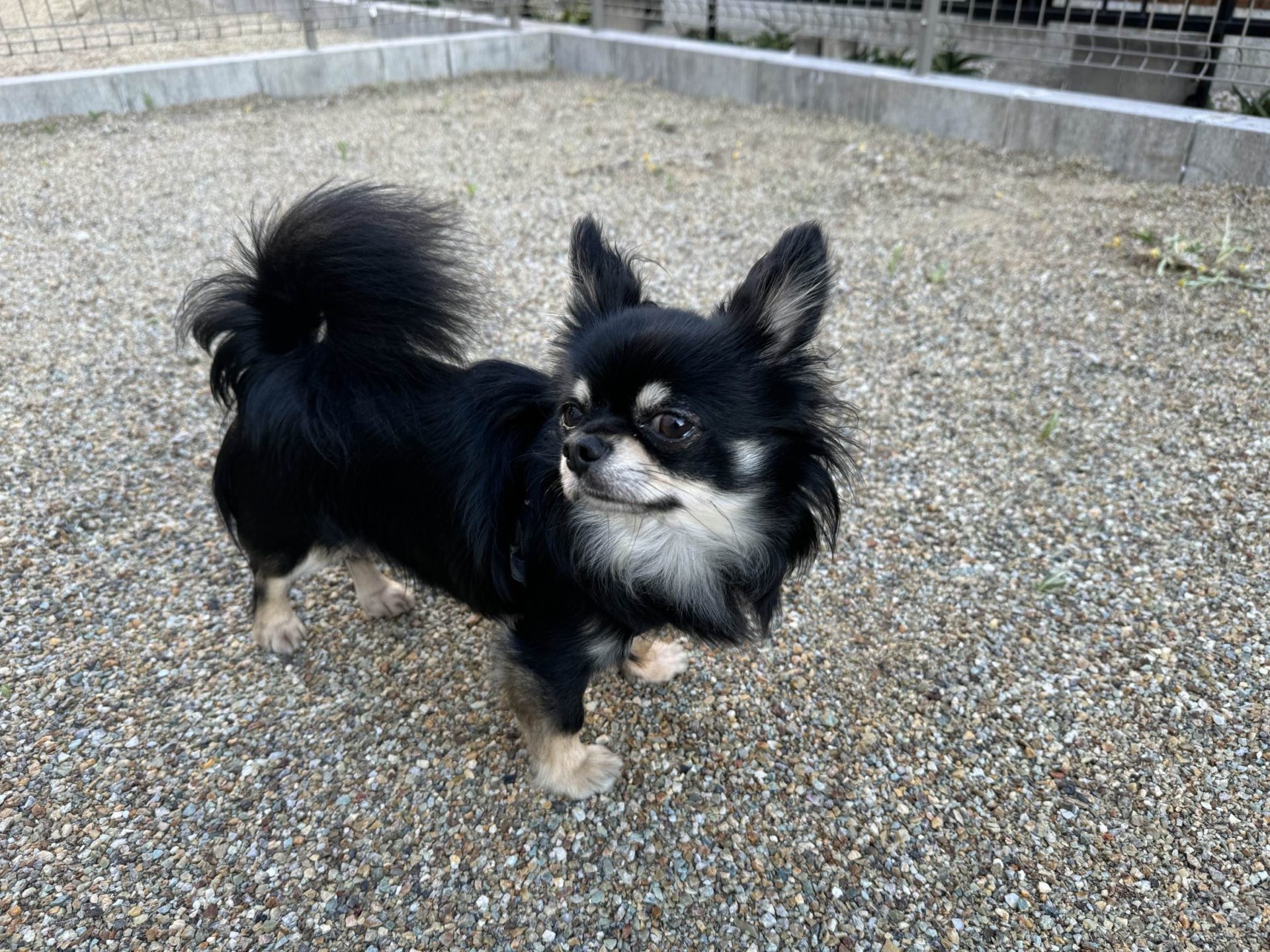 くぅ