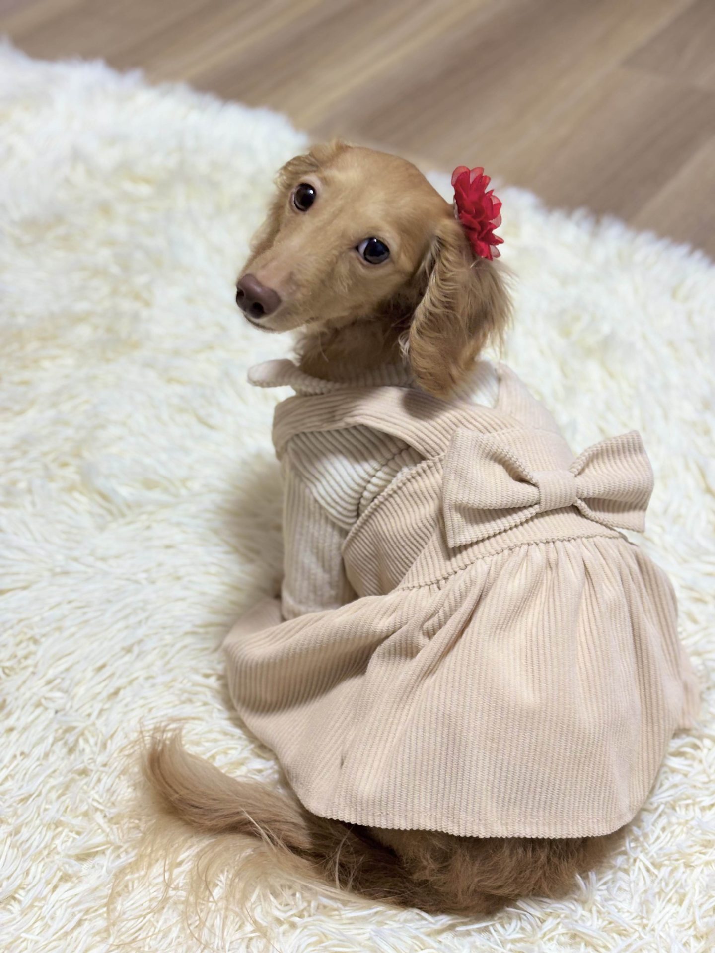 くう