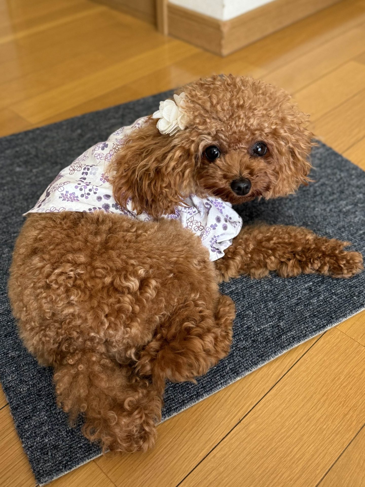 くるみ