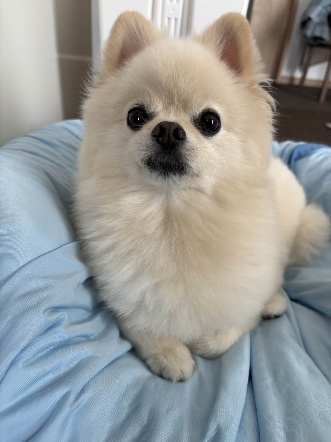 すのう