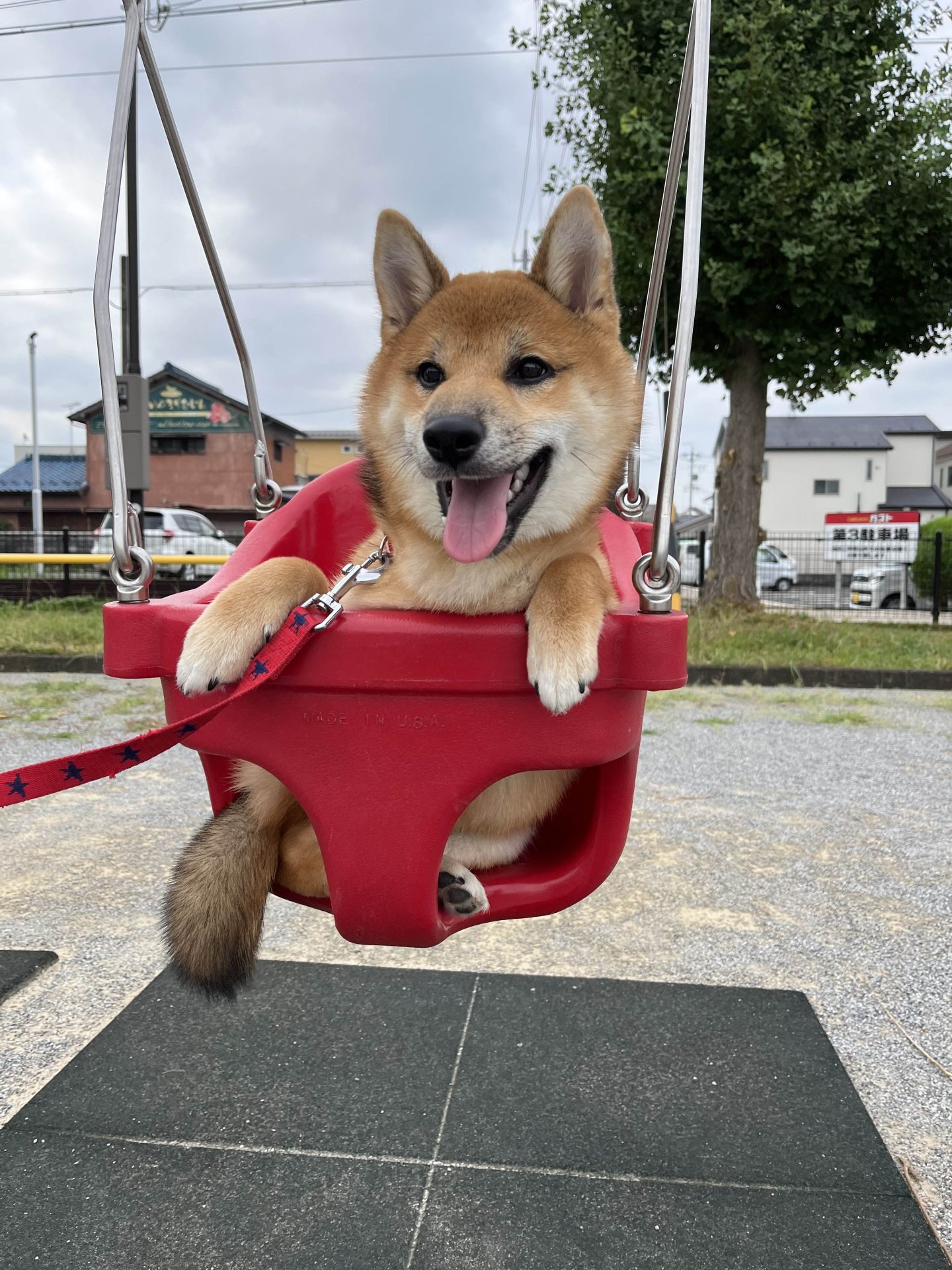 だんご