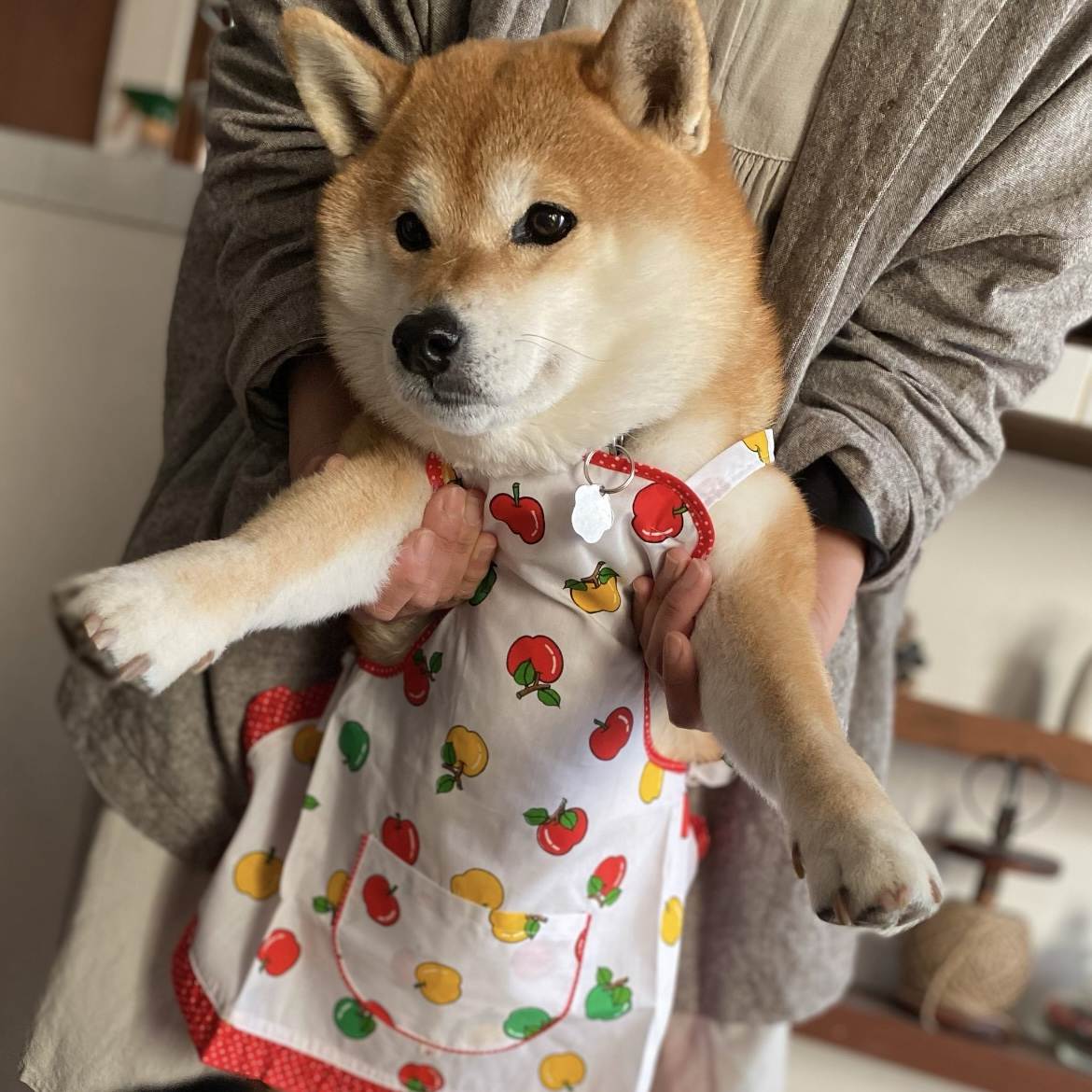 どんぐり