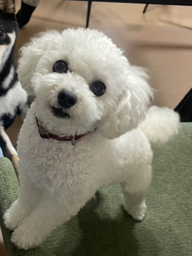 にこ