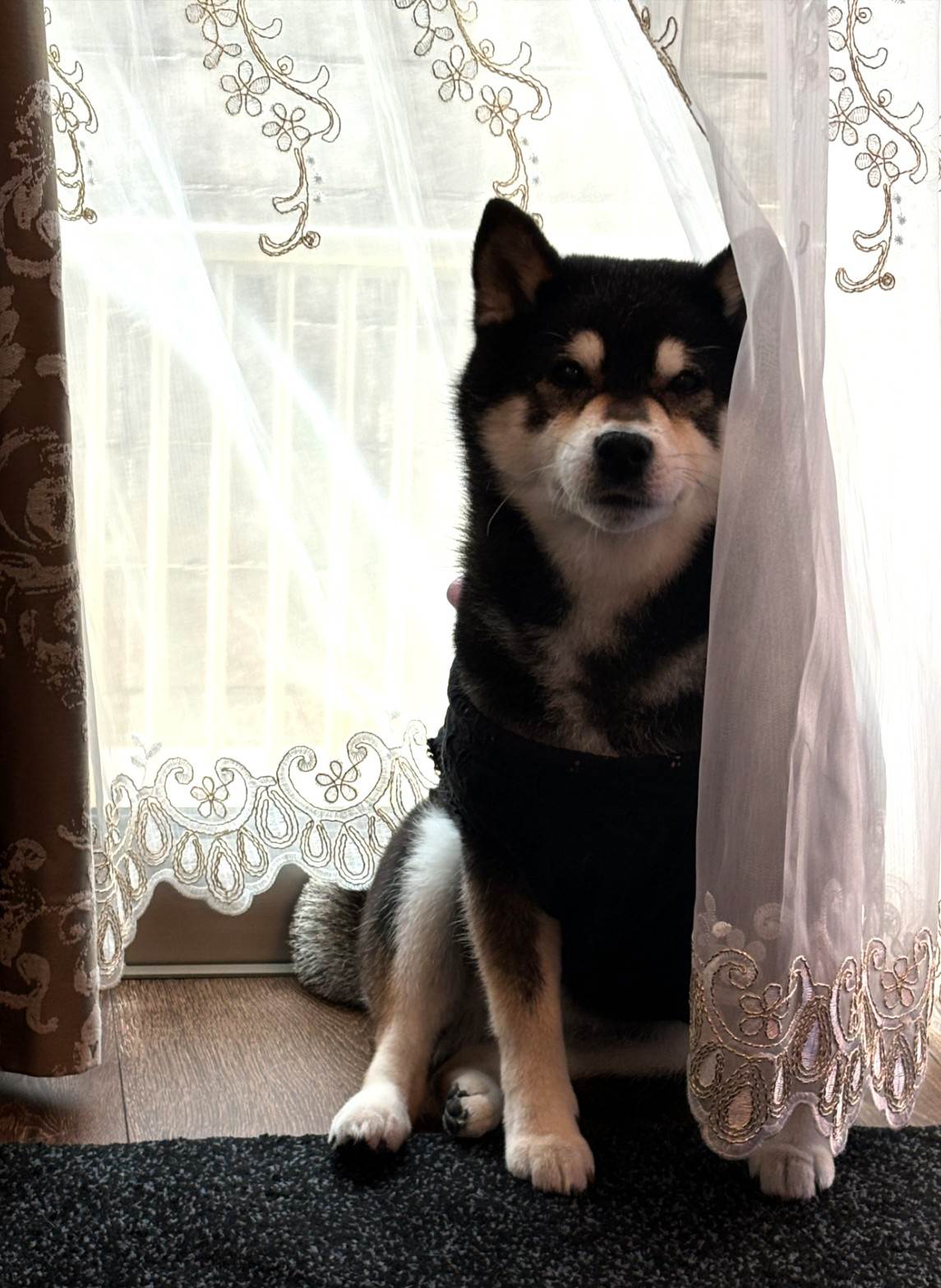 はな