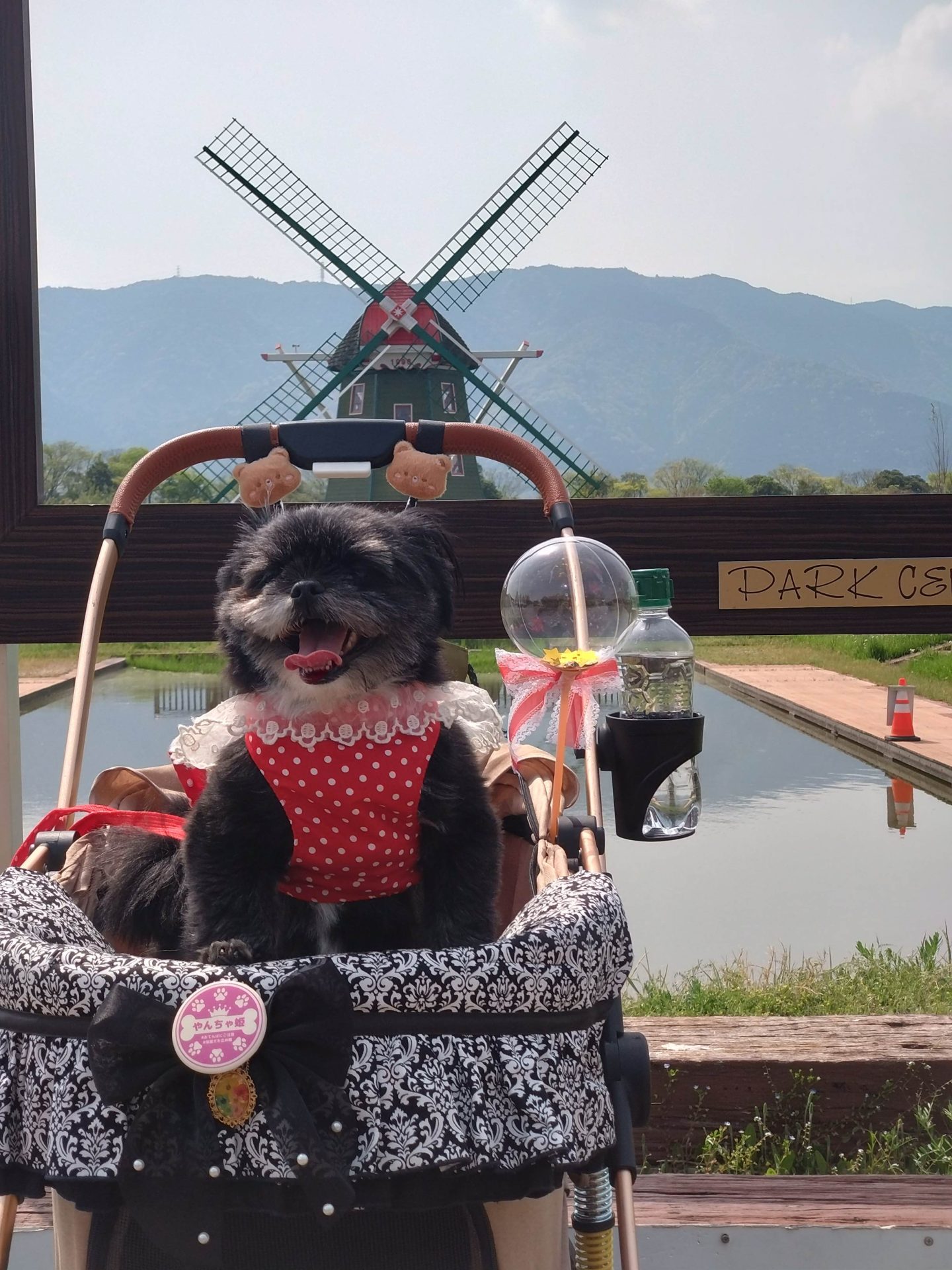 ひめの