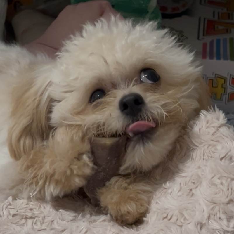 ぴの
