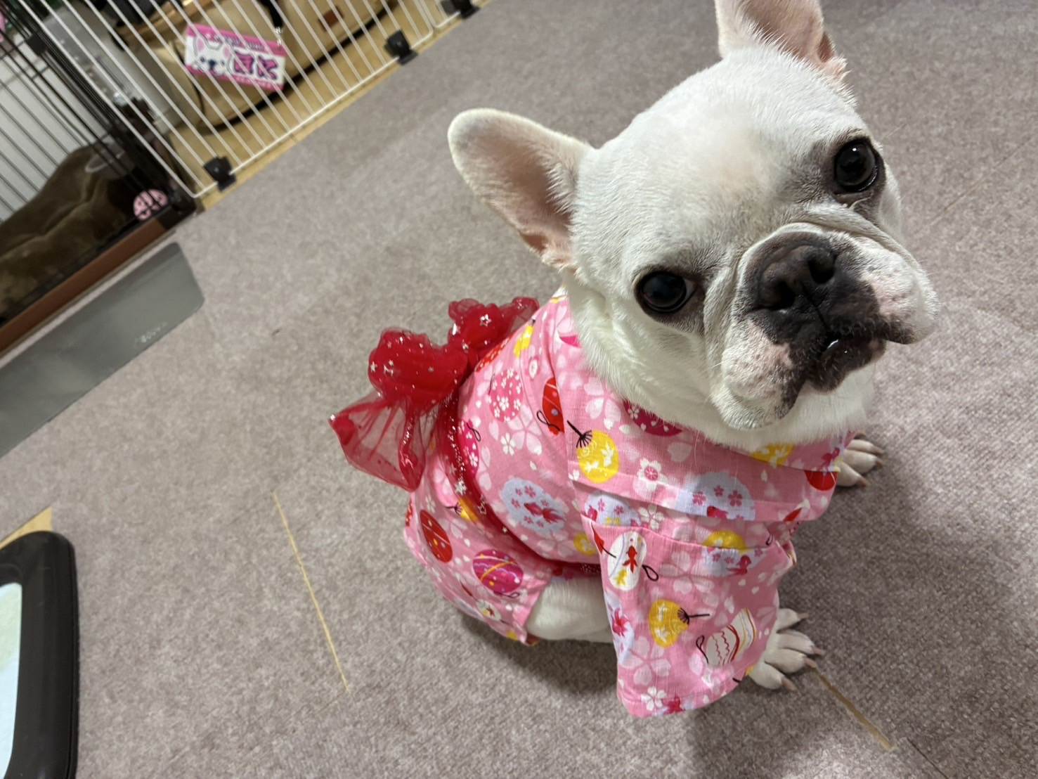 ほに