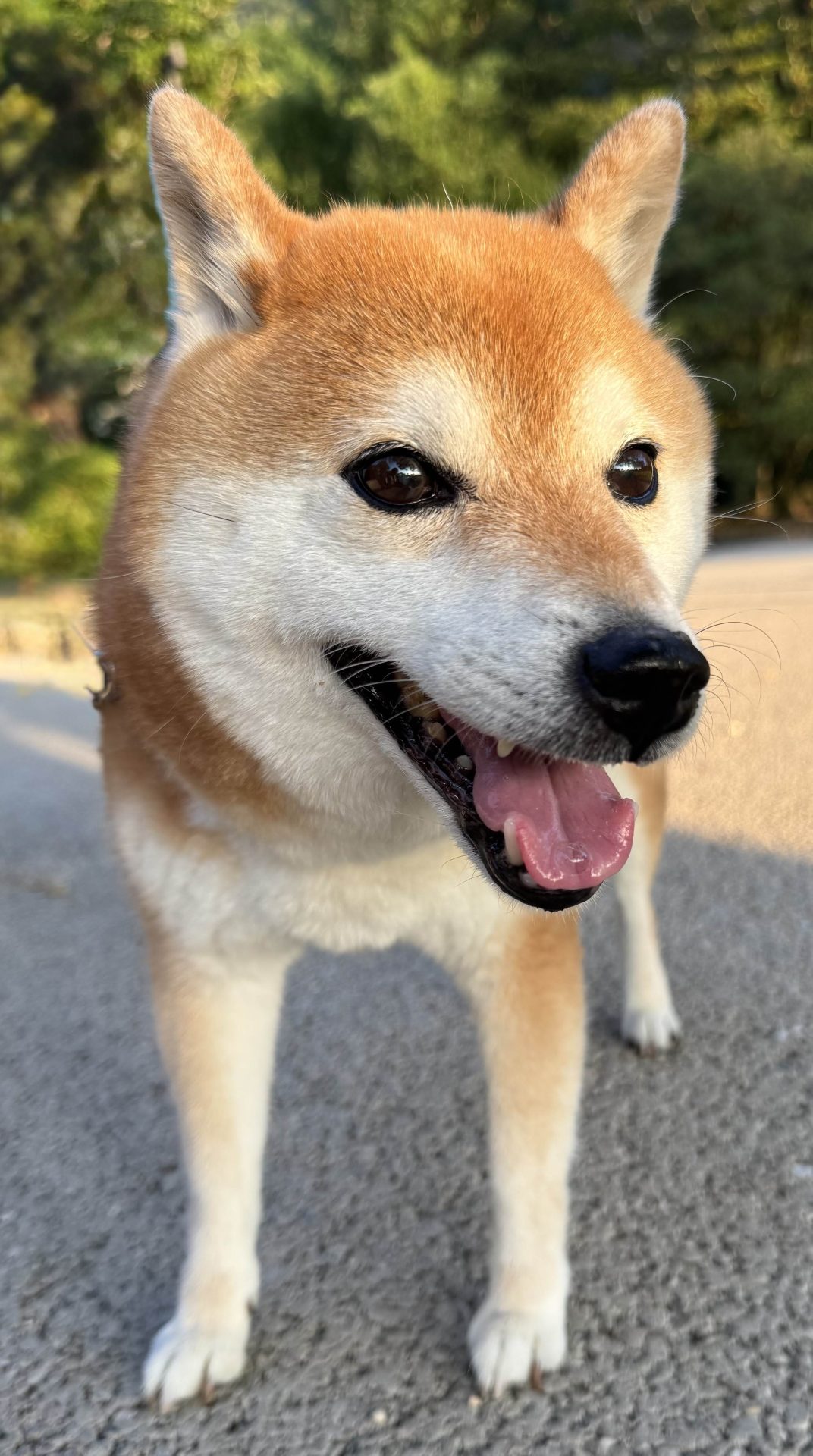 まる
