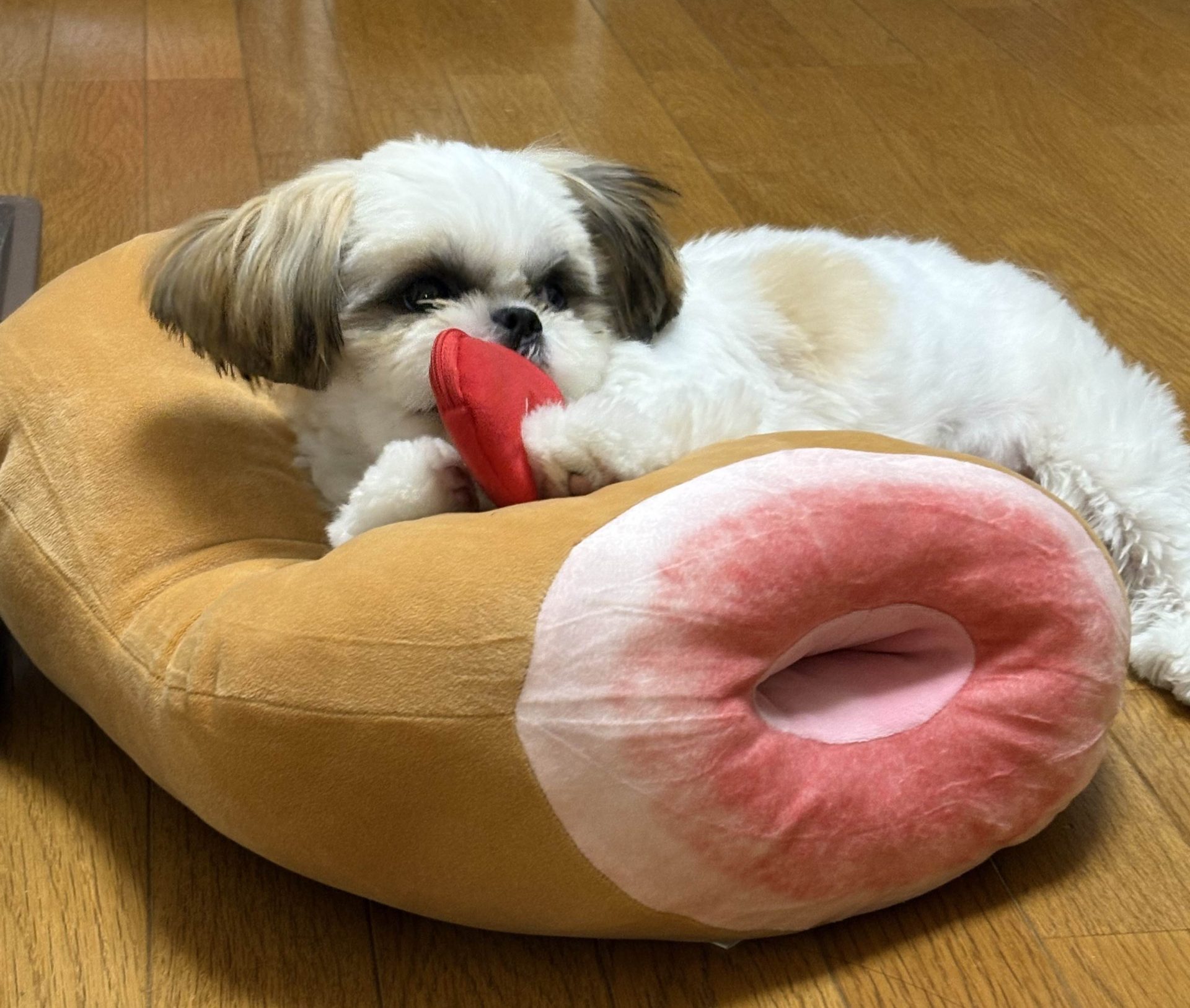 むぎ