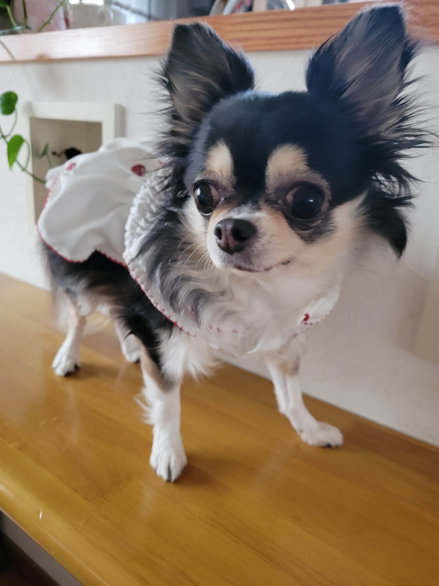 りり