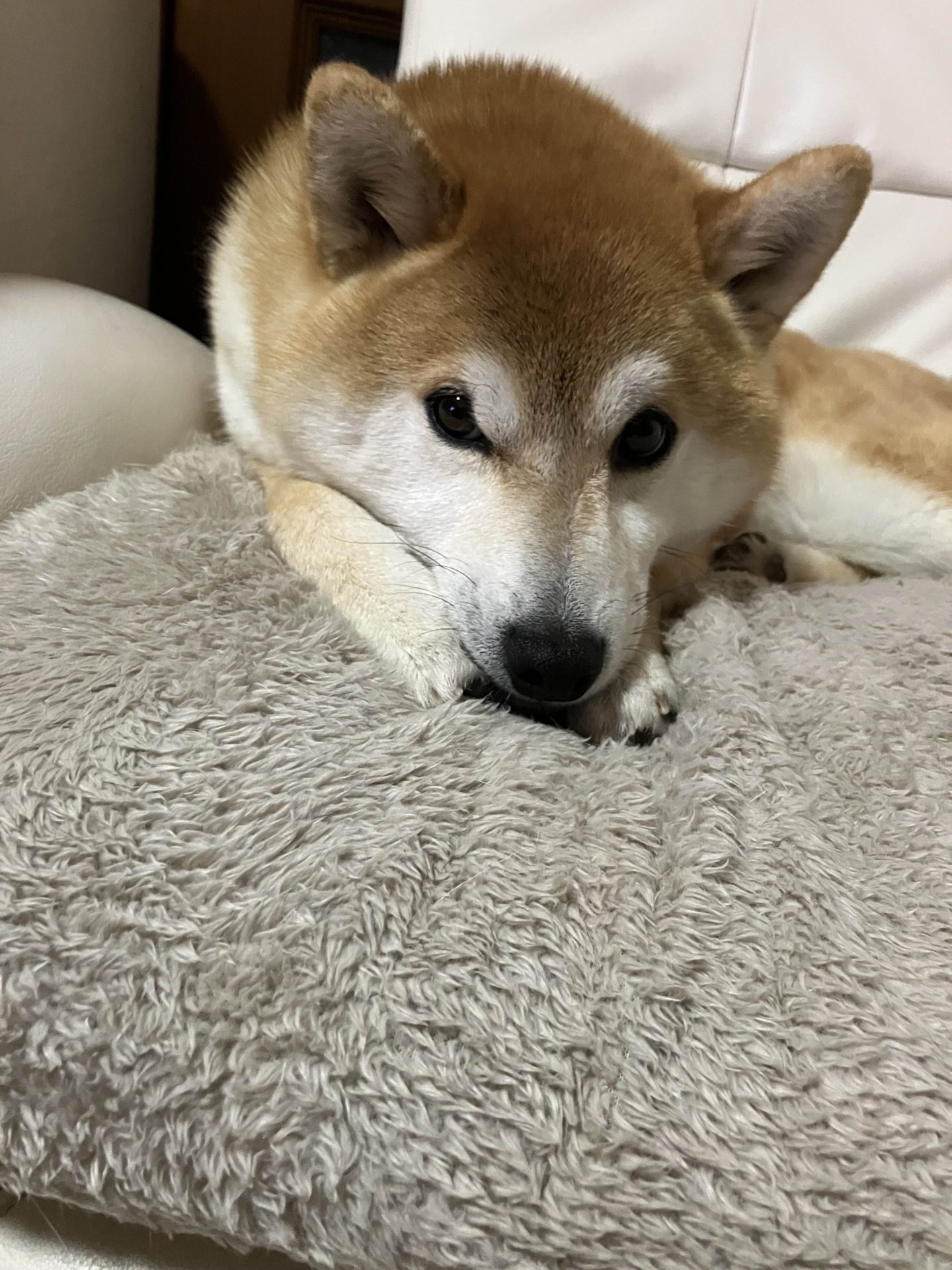 りん