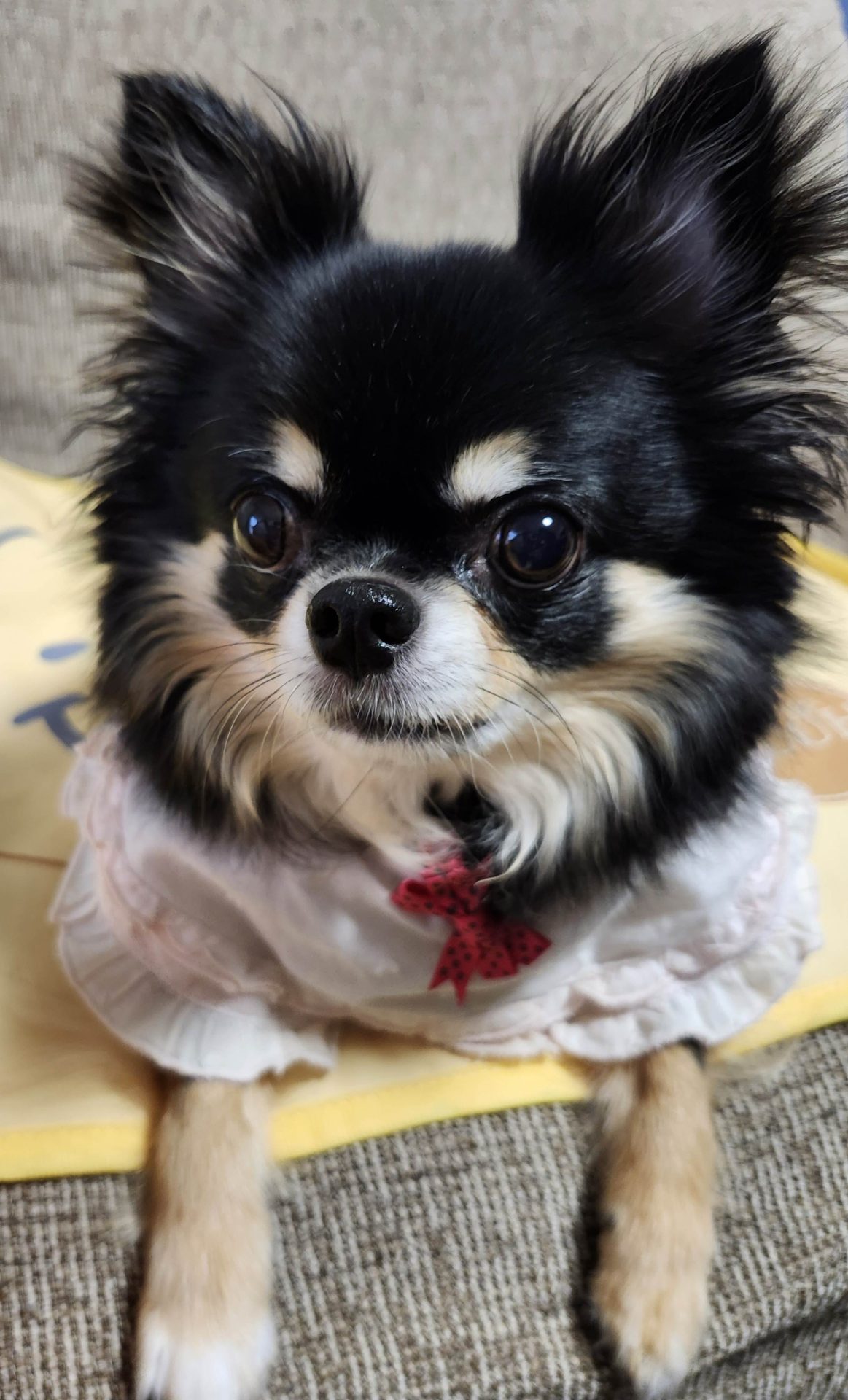 りん