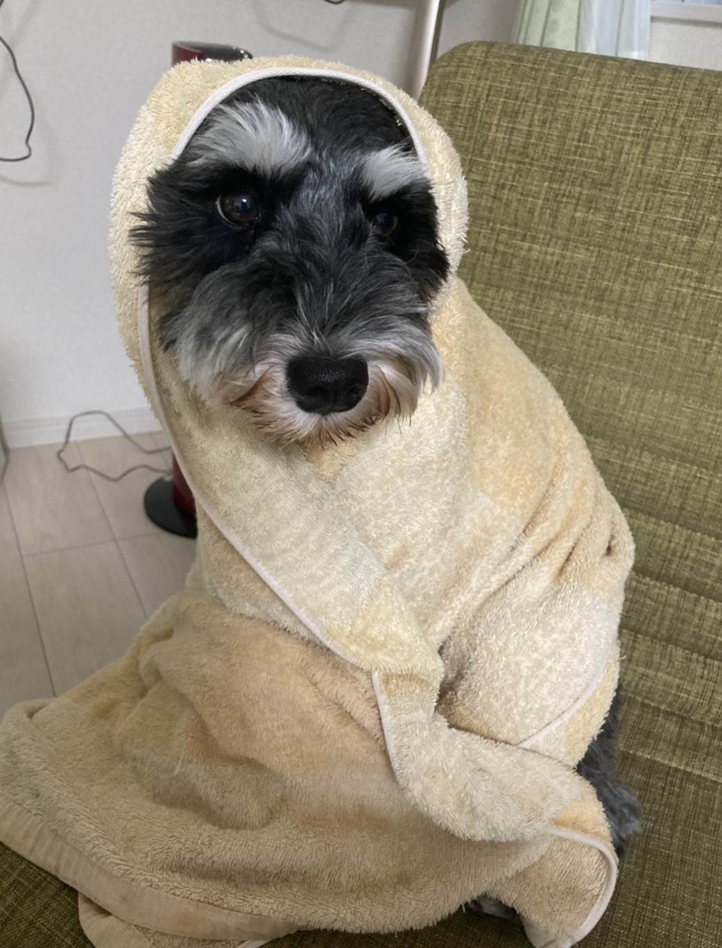 アッシュ