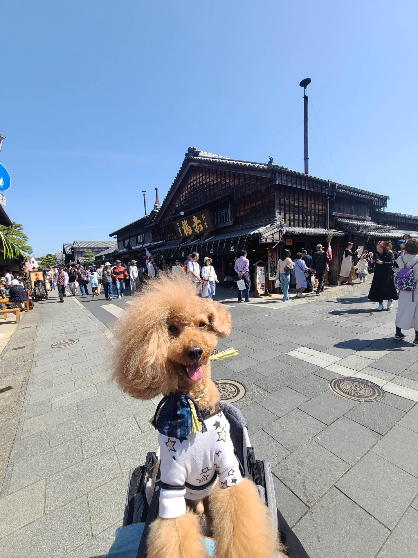 アムル