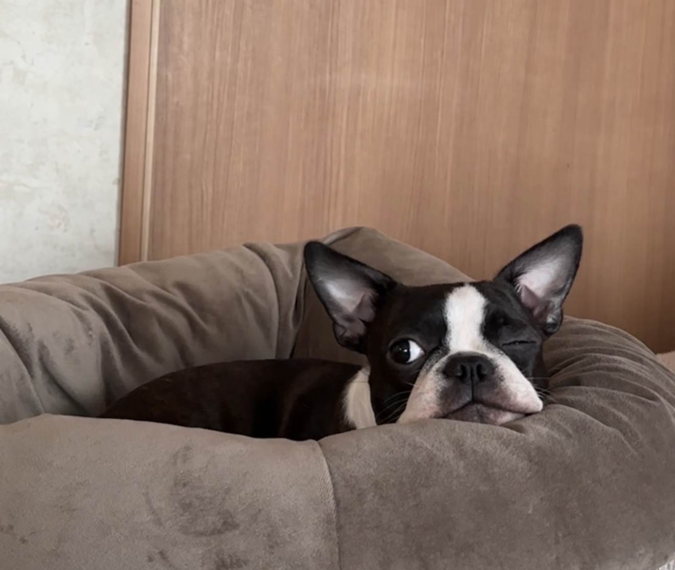 エマ
