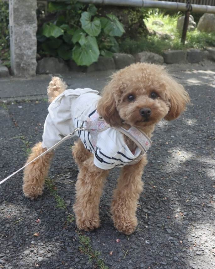 クリン
