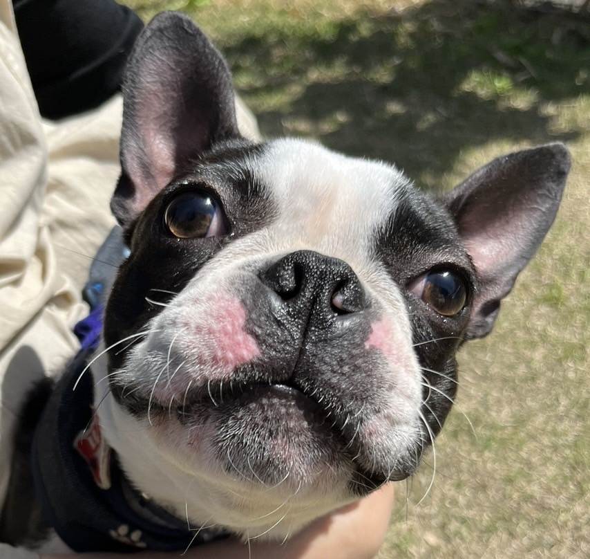 バトン