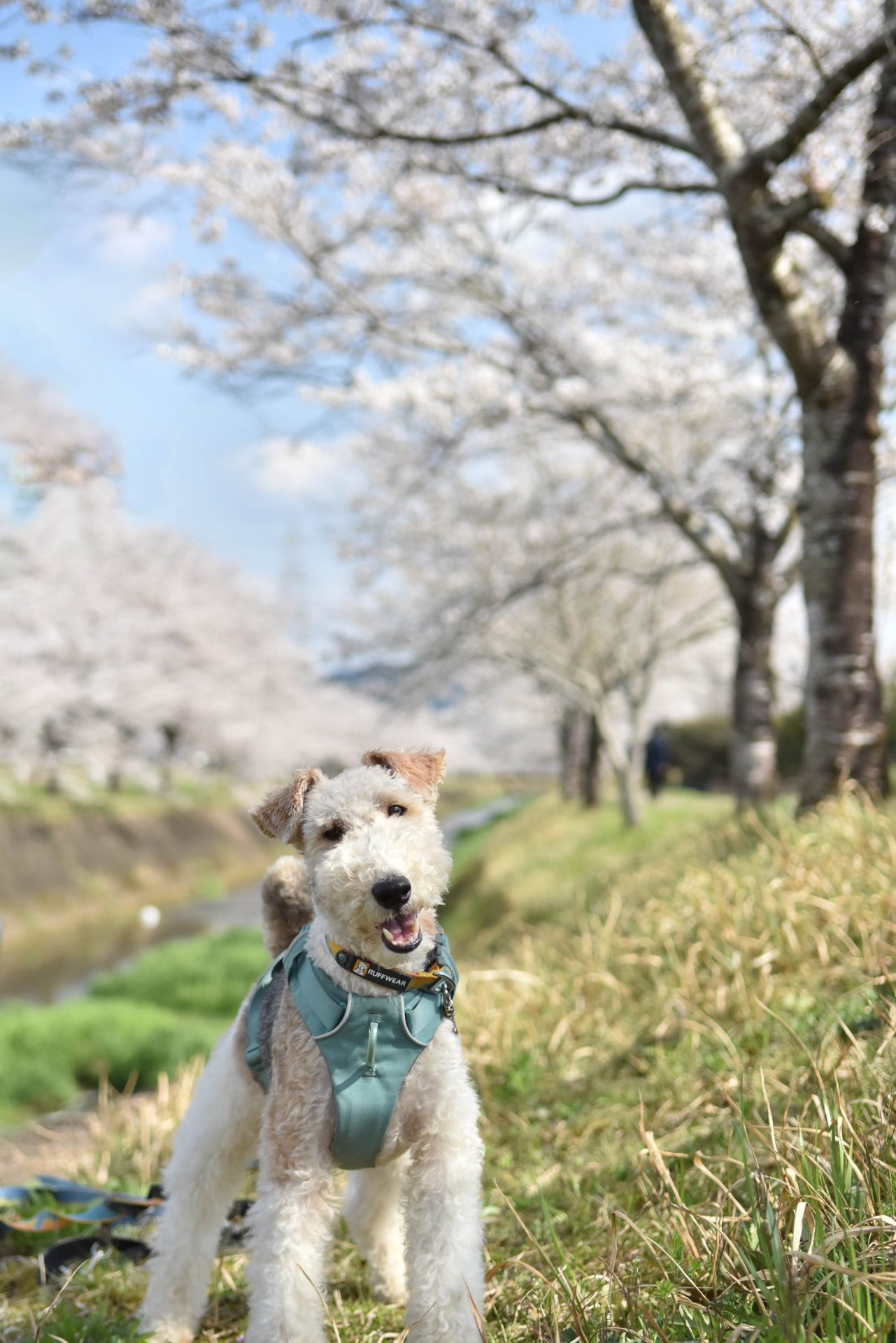 ホームズ
