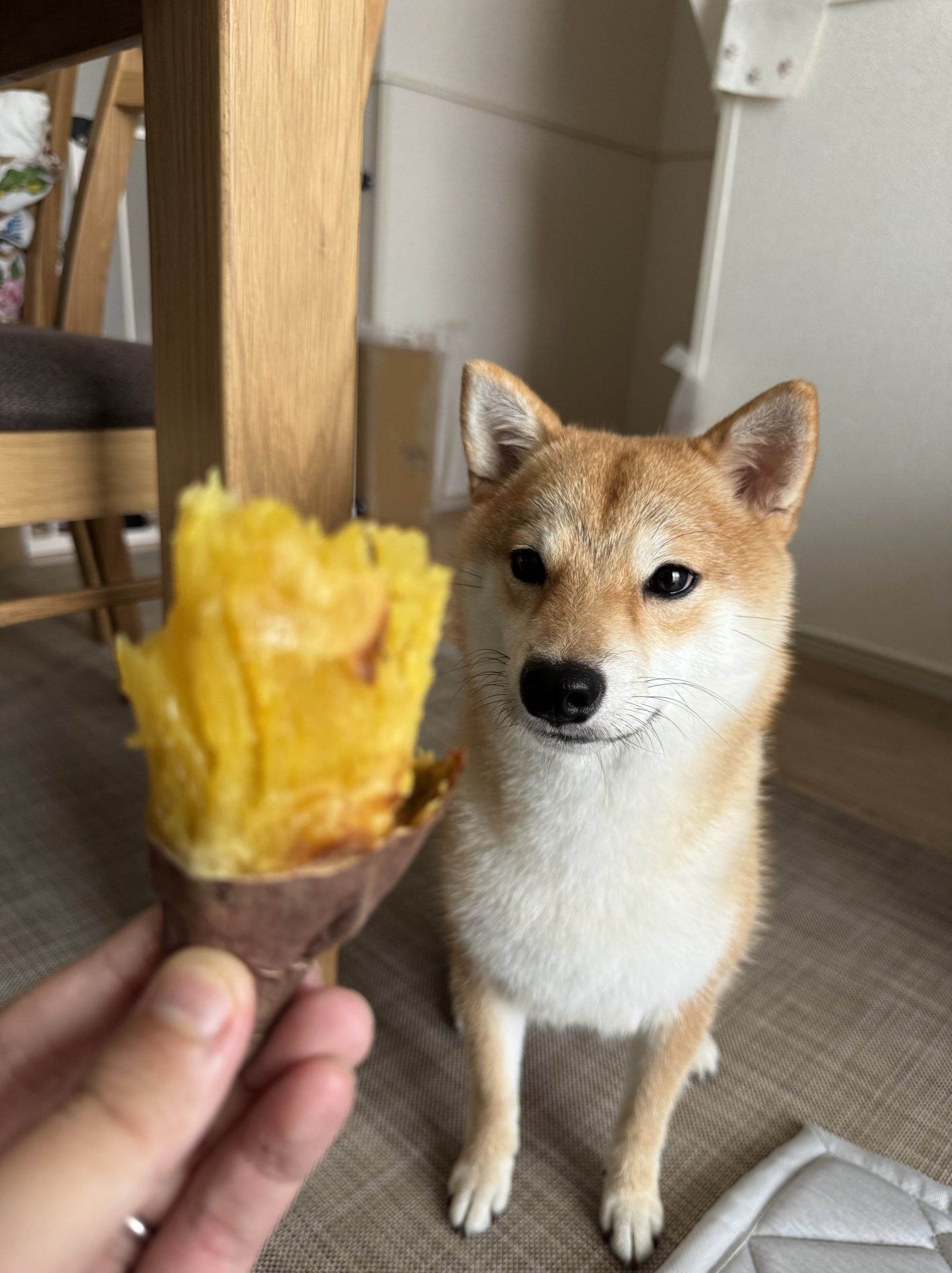 マロン