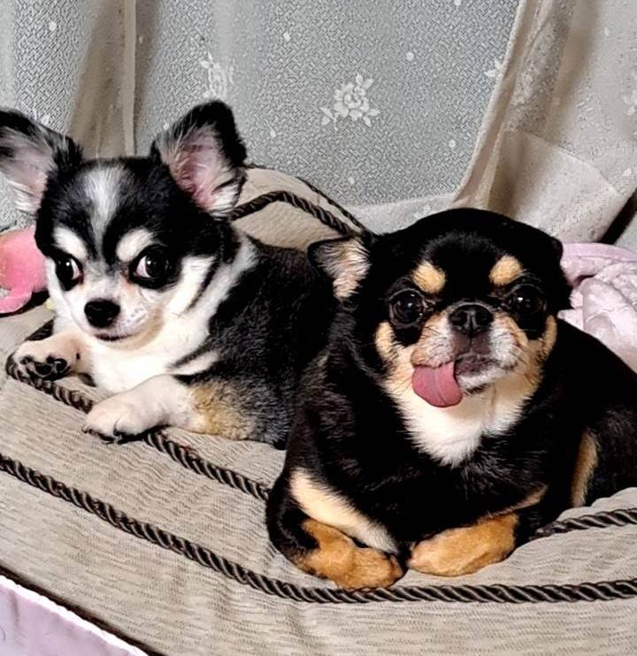 ミカ＆まる