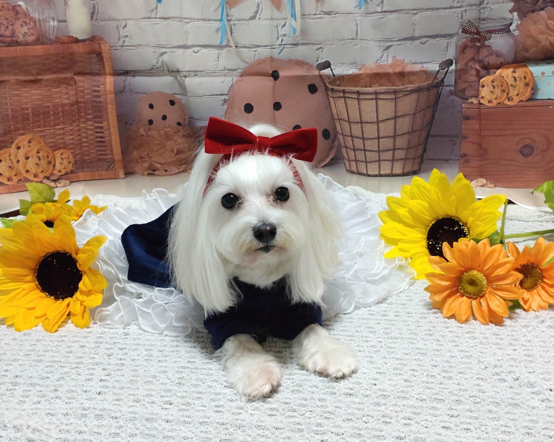 ミルキー