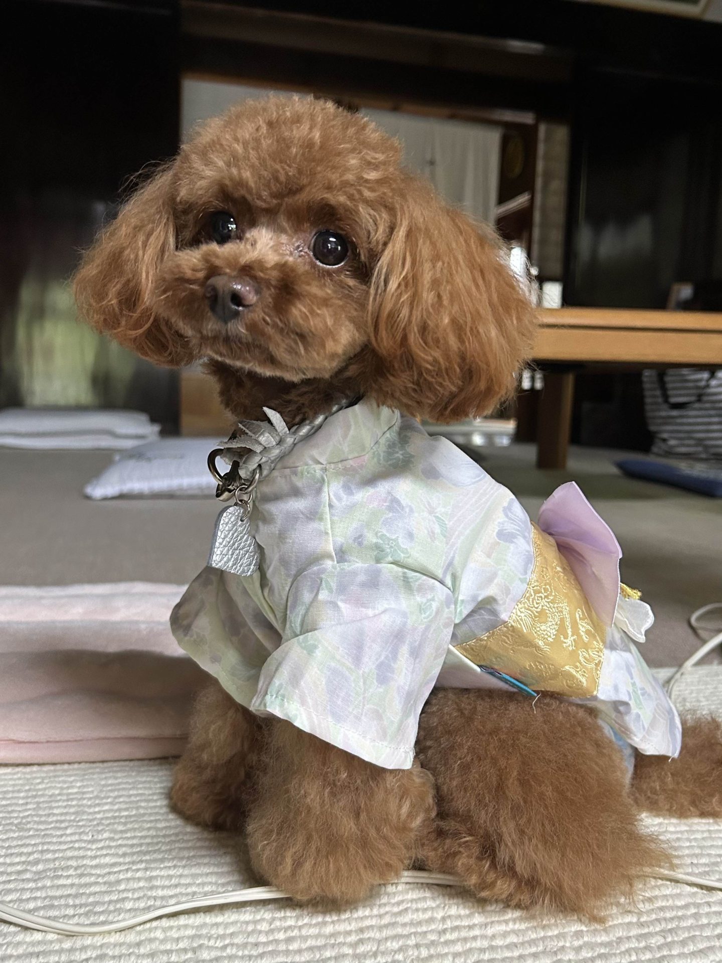 メイ