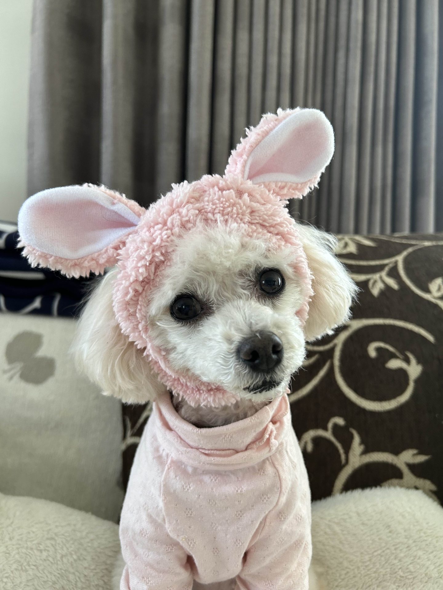 モネ