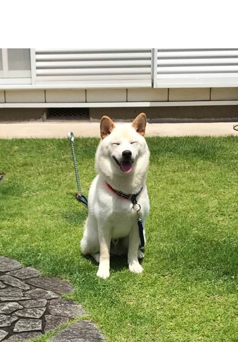 ランタン
