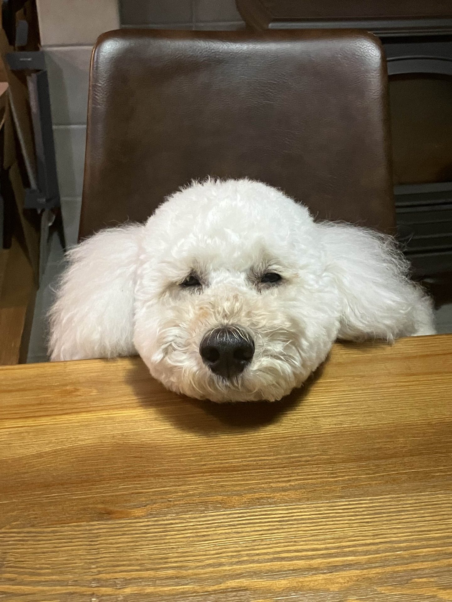 リリー