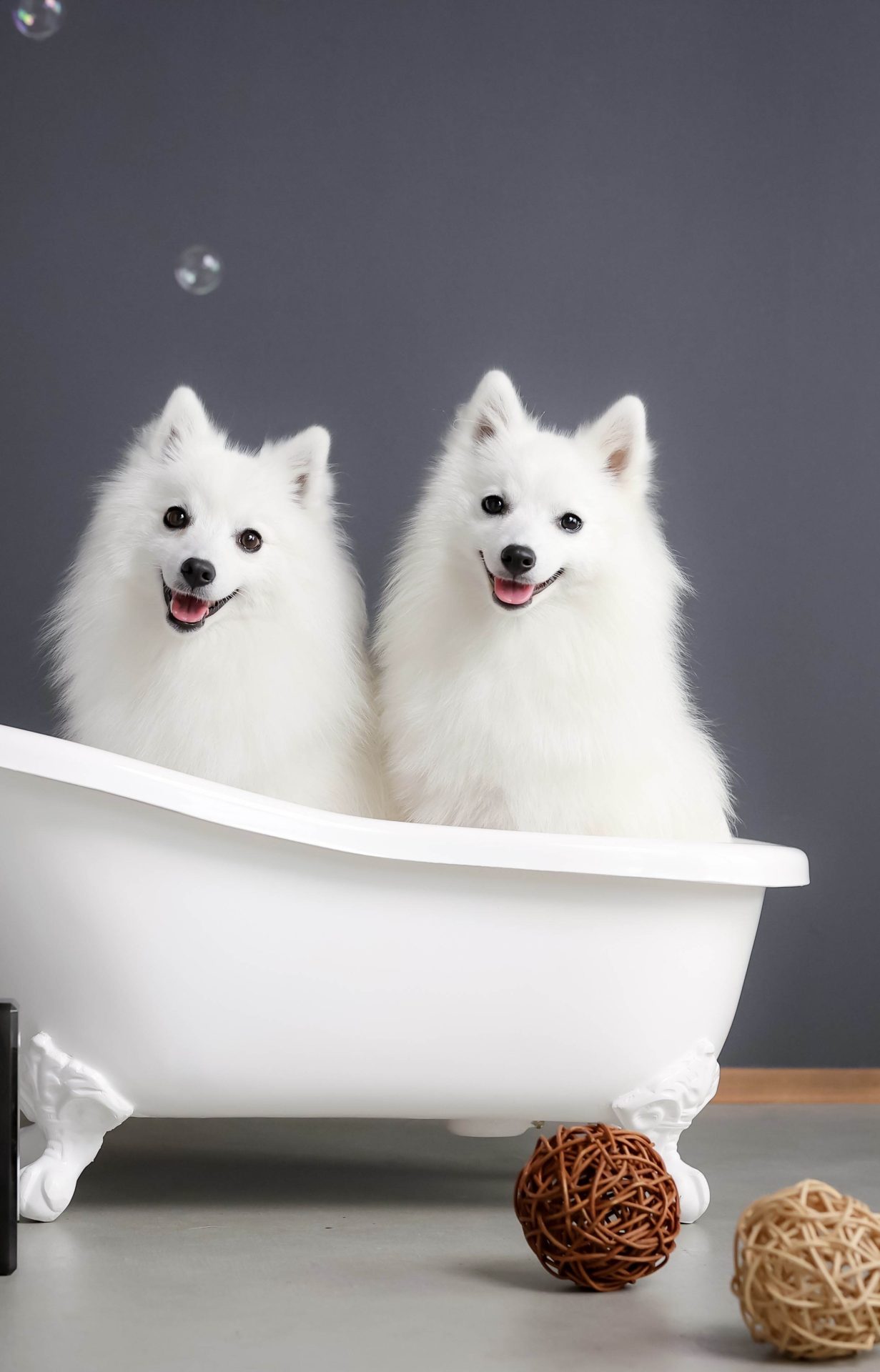 雪花＆六花