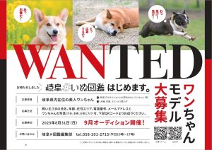 NEWS画像