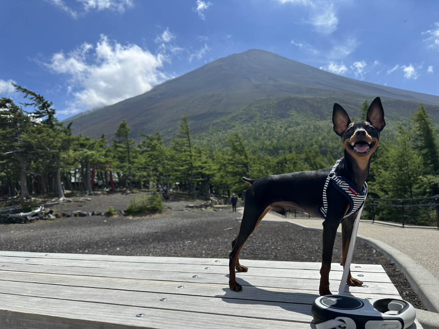 大賀 陸