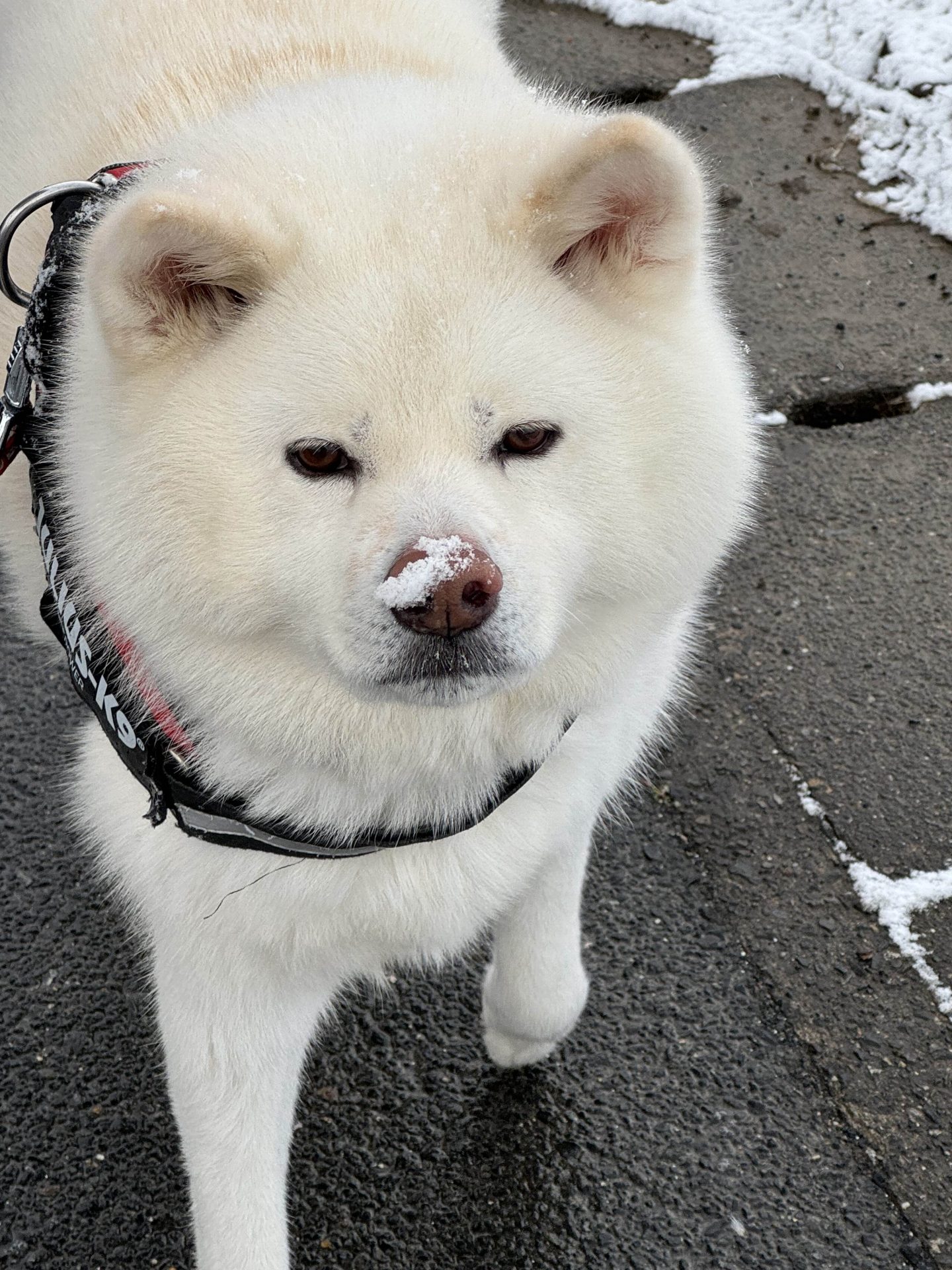 岩田おふく