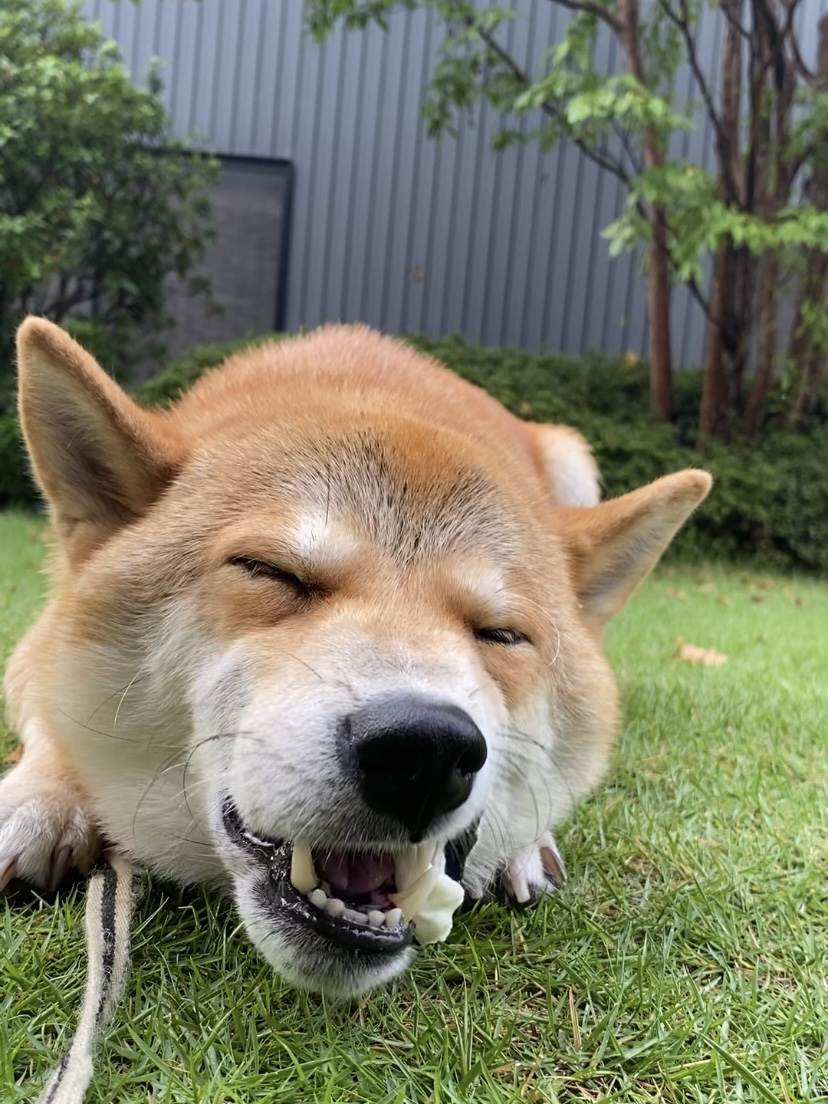 次郎