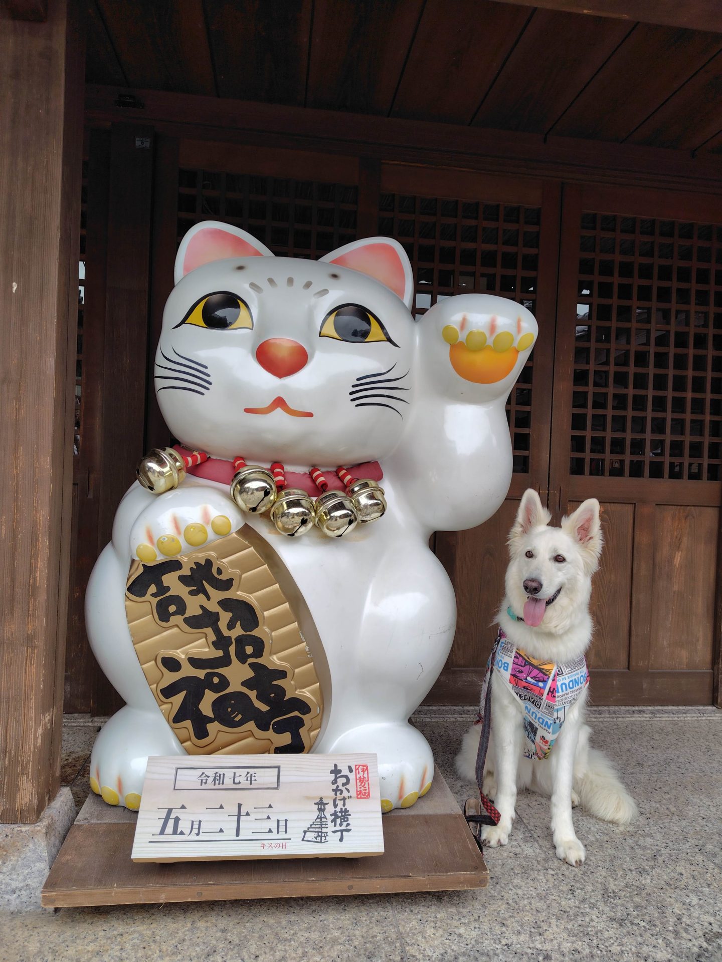 環