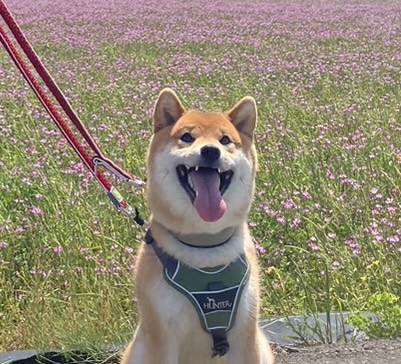 福太郎