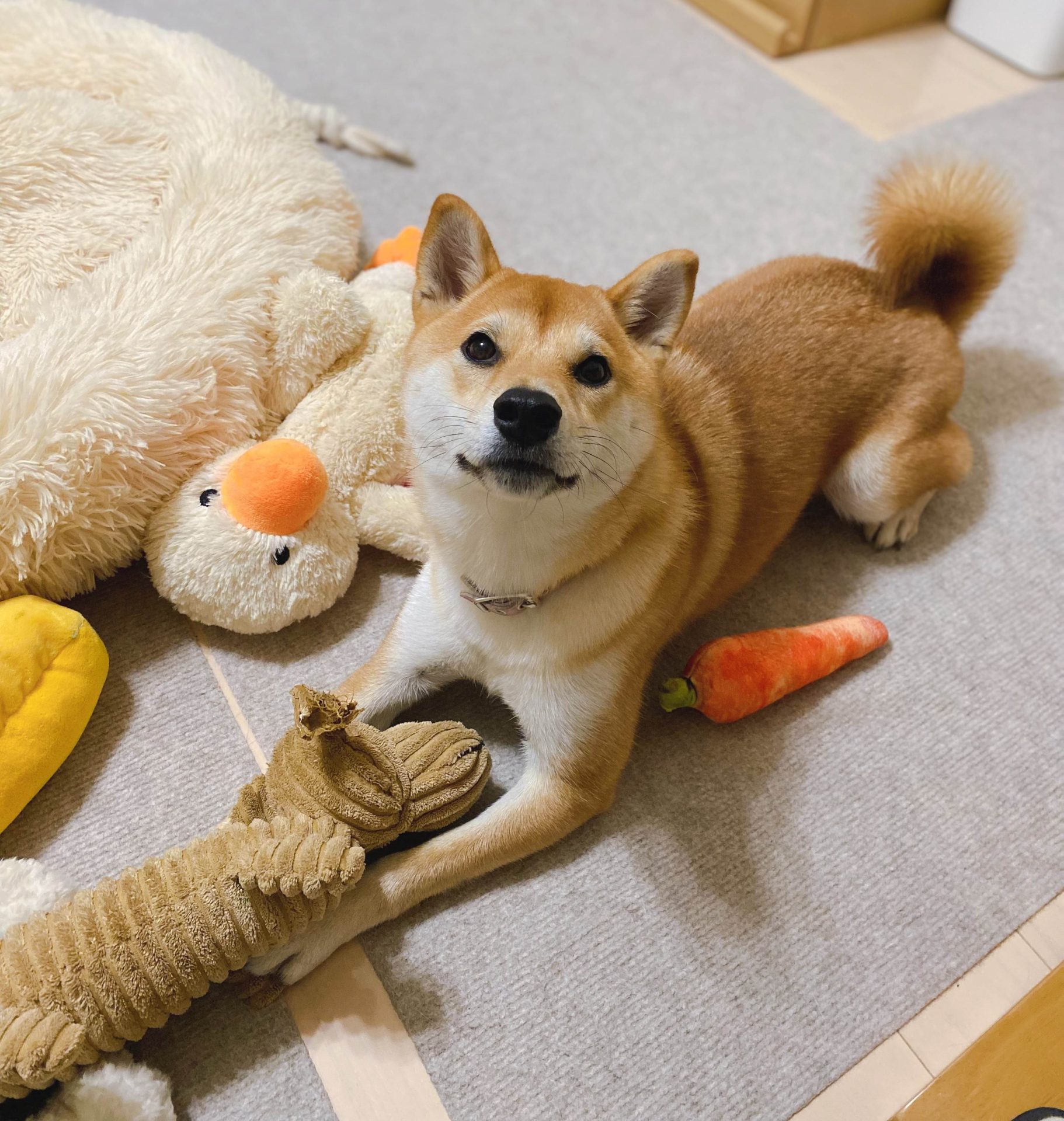 藤沢うめ