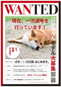 NEWS画像