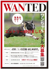 NEWS画像